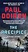 The Precipice by Paul Doiron