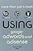 Using Google AdWords and AdSense 1st edition by Miller, Michael (2010) Paperback