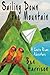 Sailing Down the Mountain by Ben Harrison (2014-04-26)