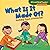 What Is It Made Of?: Noticing Types of Materials (Cloverleaf Books - Nature's Patterns)