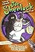 The Haunted Toolshed (Joe Sherlock Kid Detective) by Dave Keane (2006-06-06)