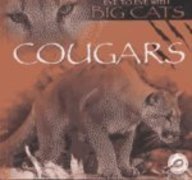 Cougars (Eye to Eye With Big Cats)