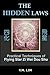 The Hidden Laws: Practical Techniques of Flying Star Zi Wei Dou Shu by Y.M. Lim (2014-08-11)