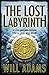 Lost Labyrinth