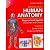 Human Anatomy: Regional & Applied