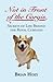 Not in Front of the Corgis: Secrets of Life Behind the Royal Curtains Not in Front of the Corgis