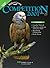 Wildfowl Carving - Competit...
