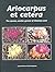 Ariocarpus et cetera The special, smaller genera of Mexican cacti by John Pilbeam (2006-01-01)