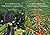 A Handbook of the World's Conifers by Aljos Farjon (2010-05-03)