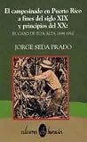 El campesinado en Puerto Rico a fines del siglo XIX y principios del XX: El caso de Toa Alta, 1894-1910 (Spanish Edition) El campesinado en Puerto Rico a fines del siglo XIX y principios del XX: El caso de Toa Alta, 1894-1910 (Spanish Edition)