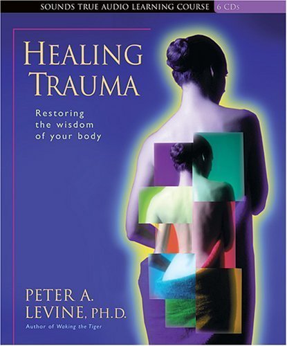 Healing Trauma (Sounds True Audio Learning Course) by Levine, Peter A. (2005) Audio CD