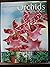 Orchids by Rittershausen, Wilma, Rittershausen, Brian (2007) Paperback