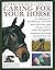 a practical guide to caring for your horse