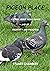 Pigeon Place: A Story of Pr...
