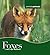 Foxes (Animals, Animals)