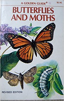 Butterflies and Moths, A Golden Guide (A Guide to the More Common American Species) (A Golden Nature Guide)