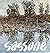 Sassone by Donelson F. Hoopes (1979-01-01)