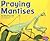 Praying Mantises