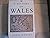 A History of Wales. Translated from the Welsh.