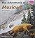 The Adventures of Muskwa