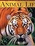 Discover animal life