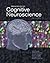 Principles of Cognitive Neu...