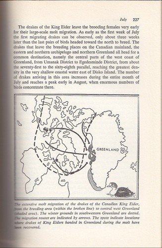The Arctic Year / by Peter Freuchen and Finn Salomonsen