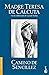 Camino de Sencillez (Spanish Edition)