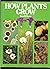 How Plants Grow by Ron      Wilson