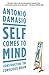 Self Comes to Mind: Constructing the Conscious Brain (Chinese Edition)