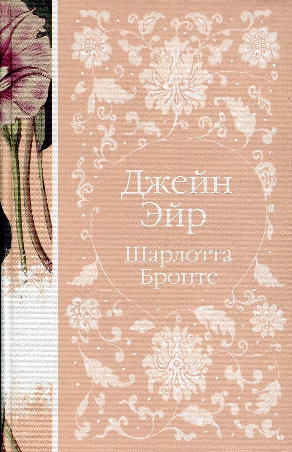 Dzhein Eir (Hardcover)