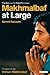 Makhmalbaf at Large: The Making of a Rebel Filmmaker by Hamid Dabashi (2008-03-15)