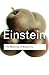 The Meaning of Relativity (Routledge Classics) New edition by Einstein, Albert (2003) Paperback