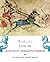 Handbook to Life in Ancient Mesopotamia by Bertman, Stephen (2005) Paperback