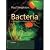 Bacteria in Biology, Biotec...