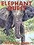 Elephant Quest by Ted Lewin (2000-08-31)
