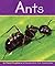 Ants