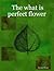 The what is perfect flower