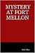 Mystery at Fort Mellon