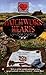 Patchwork Hearts by Cynthia Sterling (1999-02-01)