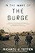 In the Wake of the Surge by Michael J. Totten (22-Aug-2011) Paperback