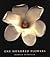 One Hundred Flowers by Harold Feinstein by Harold Feinstein