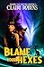 Blame Your Hexes (Shadow Vale Witches)