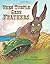 When Turtle Grew Feathers: A Tale from the Choctaw Nation by Tingle, Tim published by August House (2006)