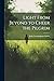 Light From Beyond to Cheer the Pilgrim