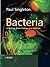 Bacteria in Biology, Biotec...