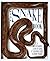 The Snake Book by DK Publishing (1997-03-18)