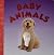 Baby Animals (Touch and Feel)