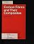 Carbon Fibres and Their Composites