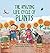 The Amazing Life Cycle of Plants (Look and Wonder)